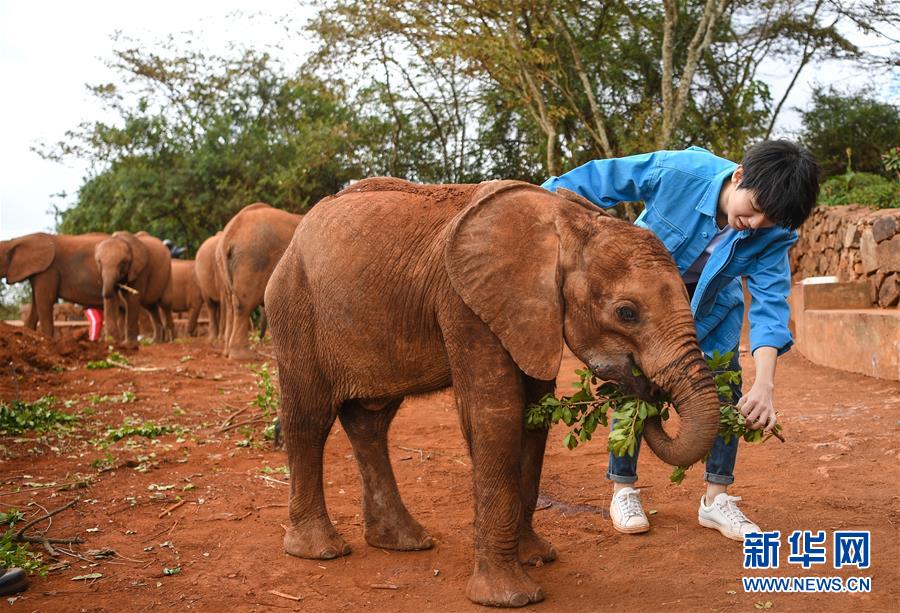 (國際·圖文互動)(2)專訪:環(huán)保要以身作則 從身邊小事做起——訪聯(lián)合國環(huán)境署親善大使王俊凱