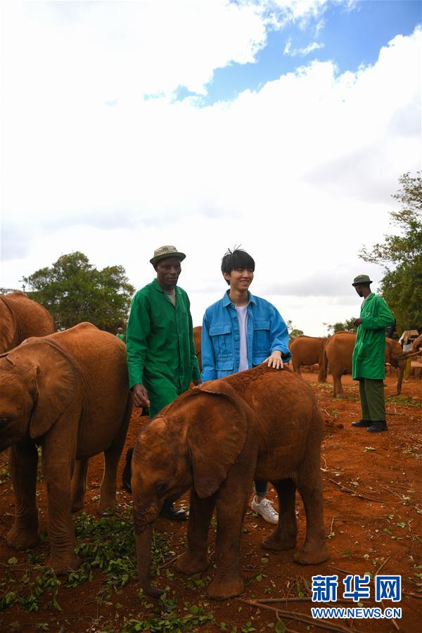 (國際·圖文互動)(3)專訪:環(huán)保要以身作則 從身邊小事做起——訪聯(lián)合國環(huán)境署親善大使王俊凱