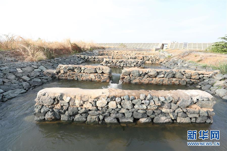 （國際&middot;&ldquo;一帶一路&rdquo;高峰論壇&middot;圖文互動）（1）通訊：為魚兒保障回家的路&mdash;&mdash;中國水電工程助力柬埔寨綠色發(fā)展