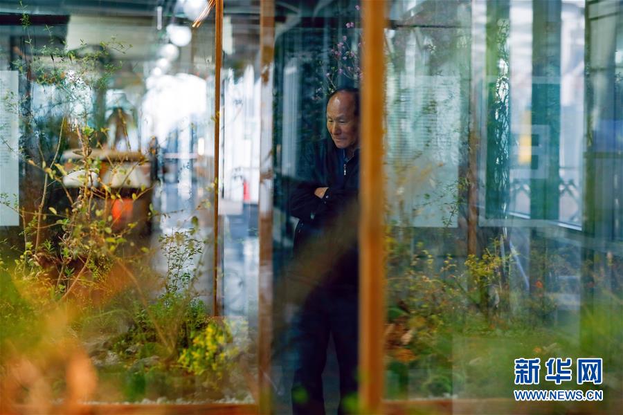 (國(guó)際·圖文互動(dòng))(4)通訊:敲響半島和平鐘聲——走訪韓朝非軍事區(qū)首爾藝術(shù)展