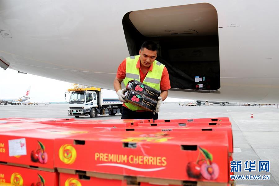 (圖文互動)(1)中亞櫻桃乘坐飛機(jī)進(jìn)入我國市場