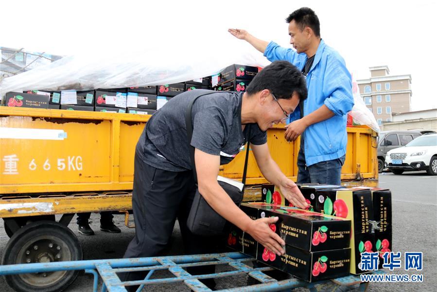 (圖文互動)(2)中亞櫻桃乘坐飛機(jī)進(jìn)入我國市場