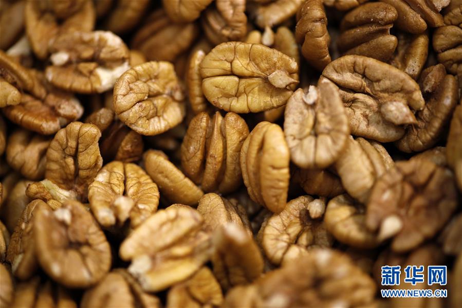 (國際·圖文互動(dòng))(9)通訊:期待美中盡早達(dá)成貿(mào)易協(xié)議——颶風(fēng)和關(guān)稅夾擊下的美國山核桃種植戶盼重回中國市場