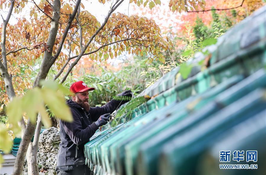 （國際&middot;圖文互動(dòng)）（1）通訊：守護(hù)魯爾河畔中國園林的德國志愿者