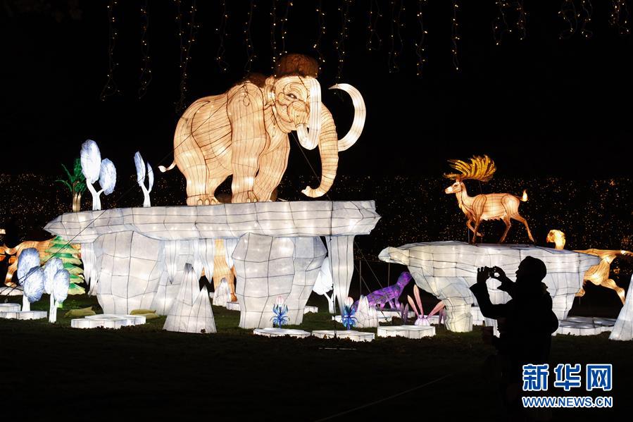 （國際）（5）第二屆紐約花燈游園會(huì)開幕