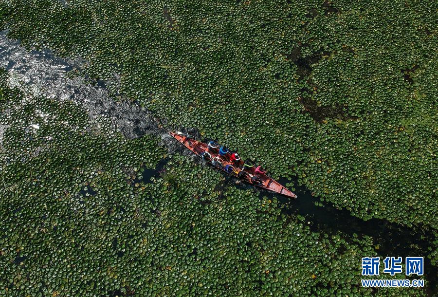 （國際&middot;年終報道）（8）2019，精&ldquo;彩&rdquo;紛呈