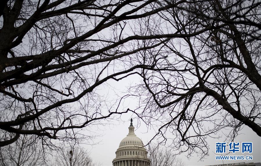 (國(guó)際)(3)美國(guó)會(huì)參議院否決特朗普彈劾案審理階段取證動(dòng)議