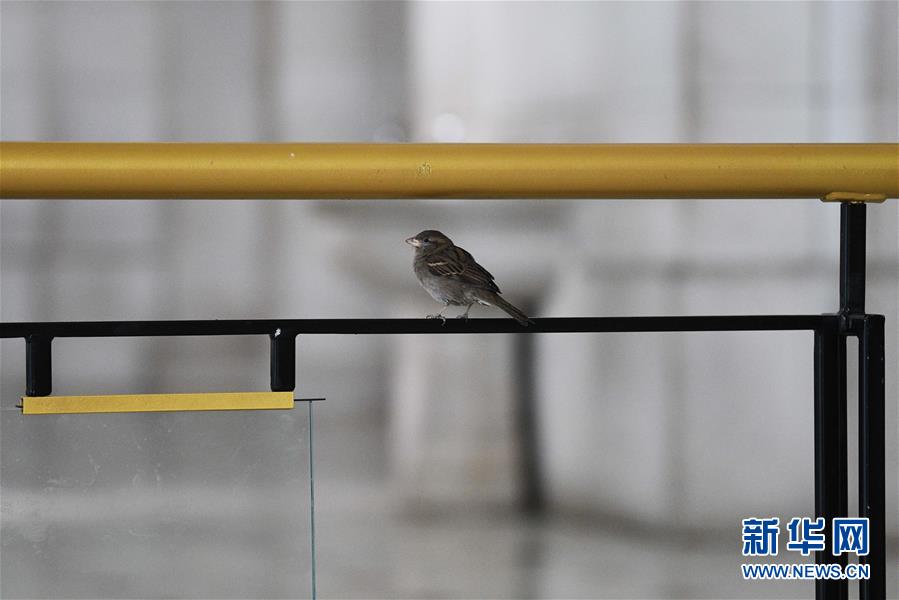 (國際疫情)(5)約翰斯·霍普金斯大學:美國新冠肺炎確診病例超過14萬例