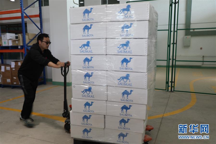 (國際·圖文互動)(8)從“先遣隊”到“正規(guī)軍”——哈薩克斯坦駱駝奶粉入華記
