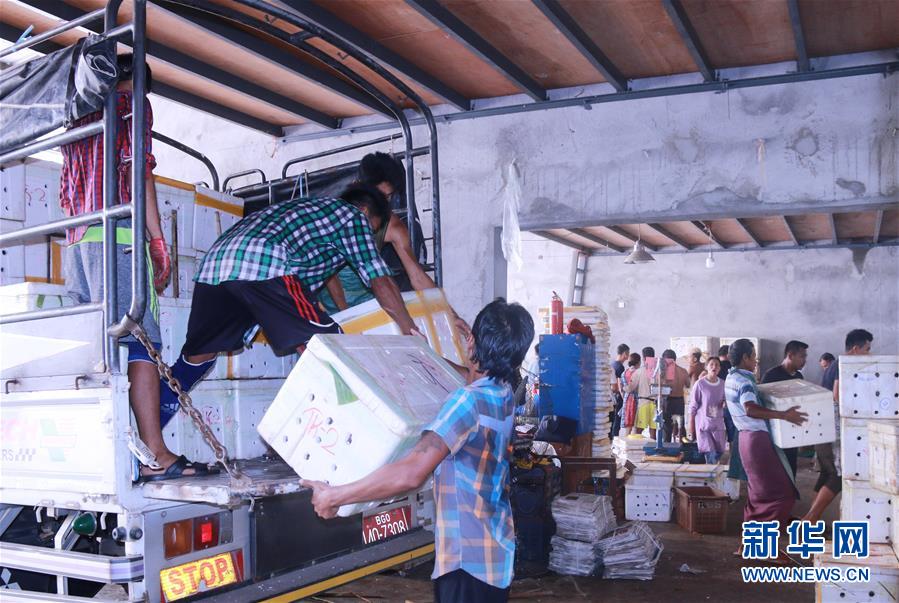 (新華全媒頭條·圖文互動(dòng))(7)中國—東盟自貿(mào)區(qū):“黃金十年”塑造世界經(jīng)貿(mào)新格局