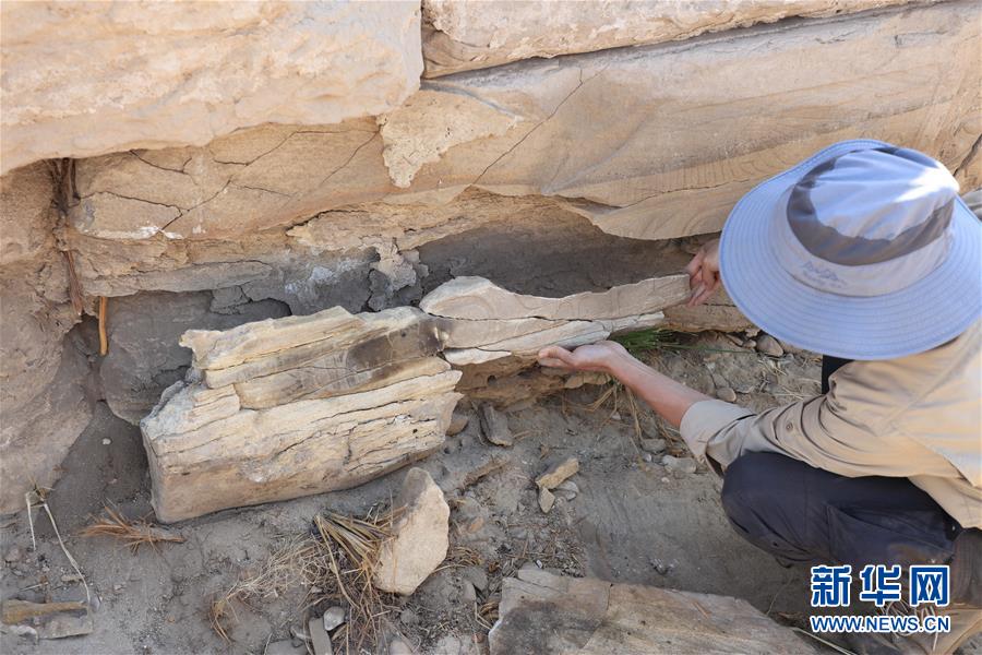 (國(guó)際·圖文互動(dòng))(8)疫中考古——中國(guó)與埃及首次聯(lián)合考古取得階段性成果