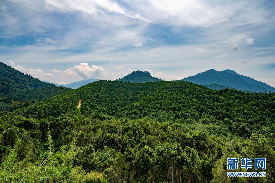 （第三屆進(jìn)博會(huì)&middot;圖文互動(dòng)）（2）專訪：進(jìn)博會(huì)提供了一個(gè)共享中國發(fā)展機(jī)遇的平臺(tái)