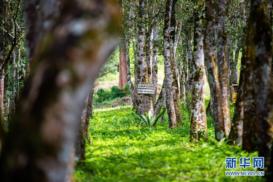 （第三屆進(jìn)博會(huì)&middot;圖文互動(dòng)）（3）專訪：進(jìn)博會(huì)提供了一個(gè)共享中國發(fā)展機(jī)遇的平臺(tái)