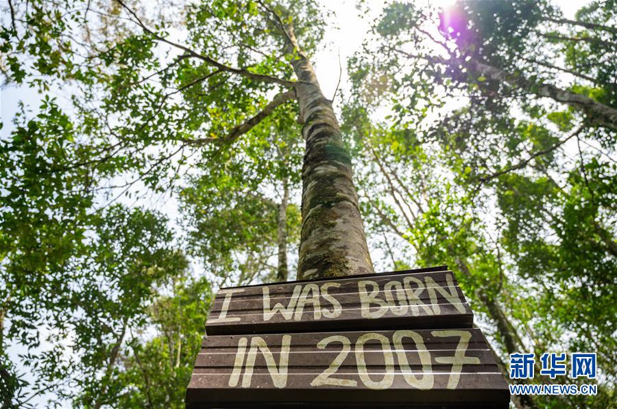 （第三屆進(jìn)博會(huì)&middot;圖文互動(dòng)）（4）專訪：進(jìn)博會(huì)提供了一個(gè)共享中國發(fā)展機(jī)遇的平臺(tái)