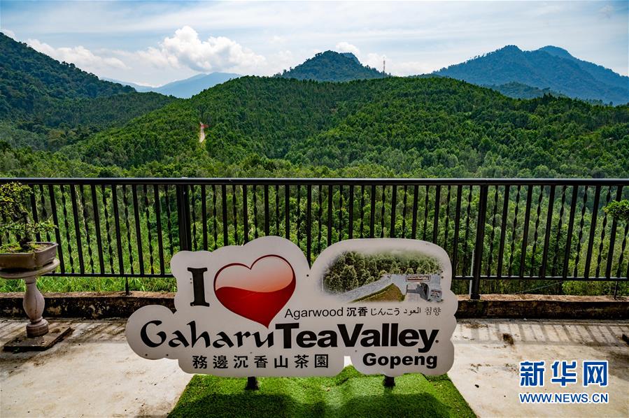 （第三屆進(jìn)博會(huì)&middot;圖文互動(dòng)）（11）專訪：進(jìn)博會(huì)提供了一個(gè)共享中國發(fā)展機(jī)遇的平臺(tái)