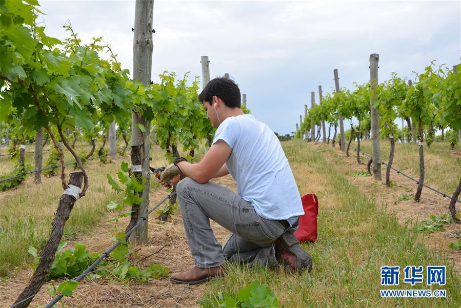 （第三屆進(jìn)博會&middot;圖文互動(dòng)）（7）專訪：進(jìn)博會是了解中國市場的好機(jī)會&mdash;&mdash;訪澳大利亞諾瓦維塔葡萄酒集團(tuán)創(chuàng)始人卡臣