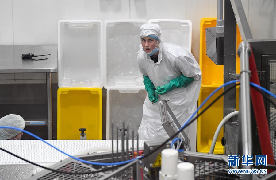 （第三屆進博會&middot;圖文互動）（2）通訊：新西蘭的進博會味道，甜