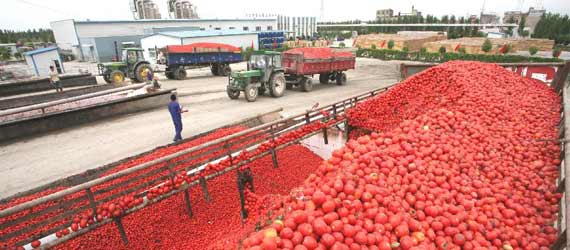 中國(guó)推動(dòng)構(gòu)建共贏、互信、發(fā)展的新絲綢之路