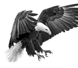 誰(shuí)是世界秩序的真正破壞者？