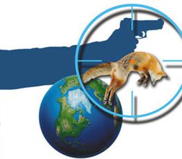 中國(guó)全球&ldquo;獵狐&rdquo;戰(zhàn)果豐碩！