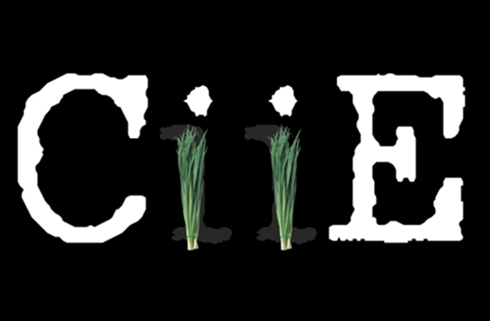 新華社創(chuàng)意動感視頻：考眼力！數數多少樣進口貨