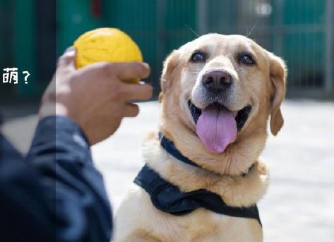 為了&ldquo;破冰&rdquo;，它們英勇無(wú)畏！