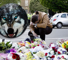 血案頻發(fā) "獨(dú)狼"緣何兇猛？