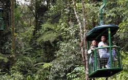 關注環(huán)境：哥斯達黎加 綠色國度生態(tài)游(組圖)