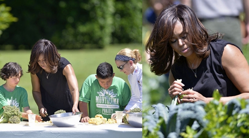 自己動(dòng)手 與第一夫人野餐